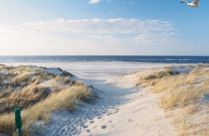 Bundesförderung stärkt interkulturelle Bildung an Schulen im ganzen (Foto: AdobeStock -  Philip - 425613695)